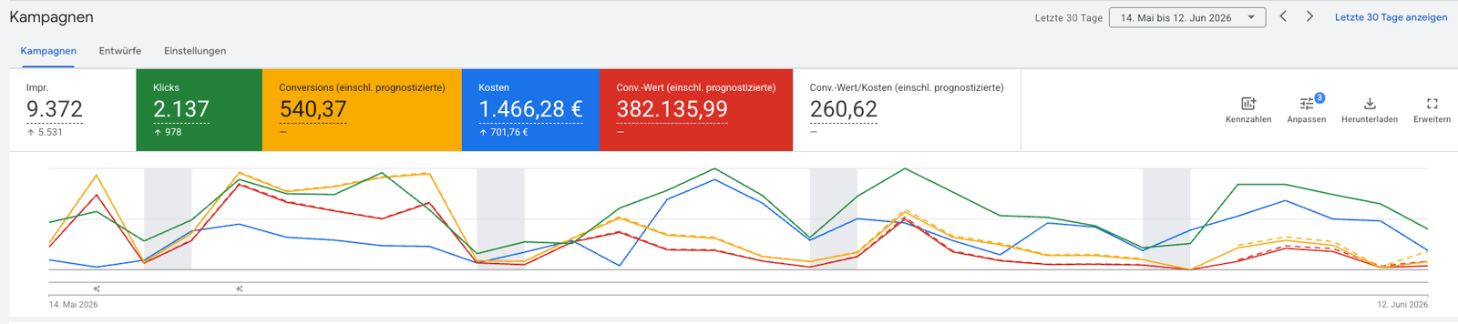 Google Ads Performance Dashboard anonymisiert