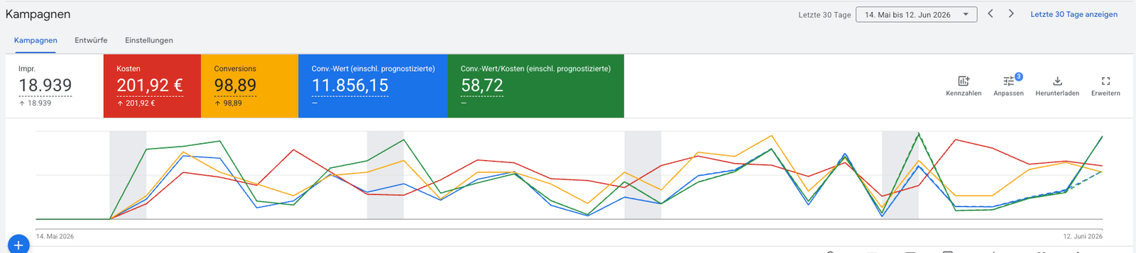 Google Ads E-Commerce Performance Snapshot